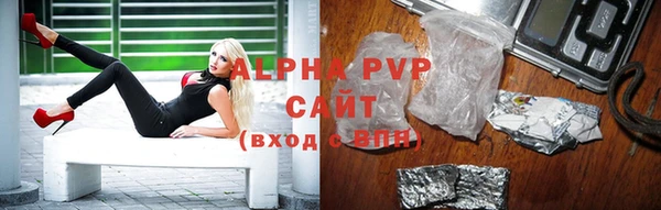 индика Абаза