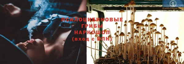 сатива Абдулино
