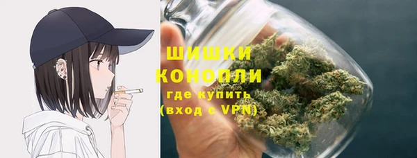 индика Абаза