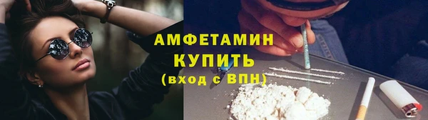 индика Абаза