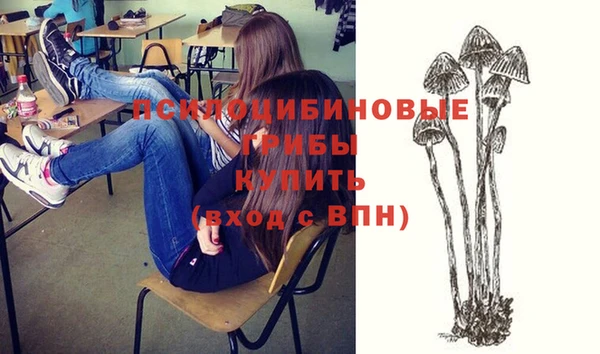 сатива Абдулино