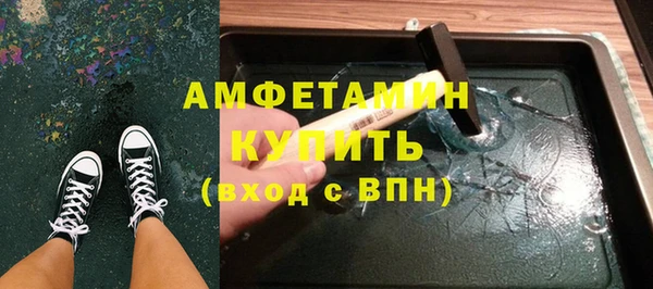 индика Абаза