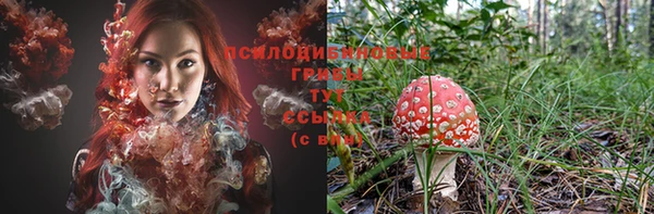 индика Абаза