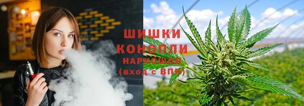 сатива Абдулино