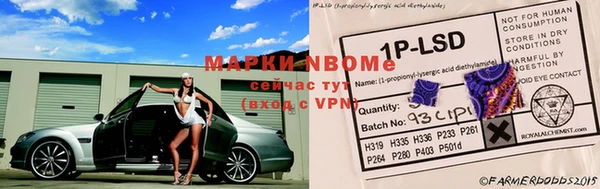 индика Абаза