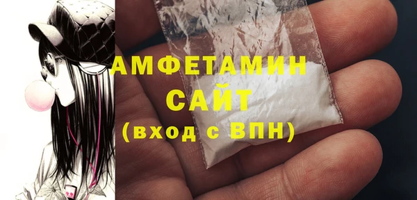 индика Абаза