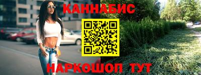 дживик Кингисепп